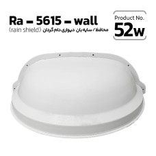 Ra-5615-wall Bullet / Dome Camera Protector